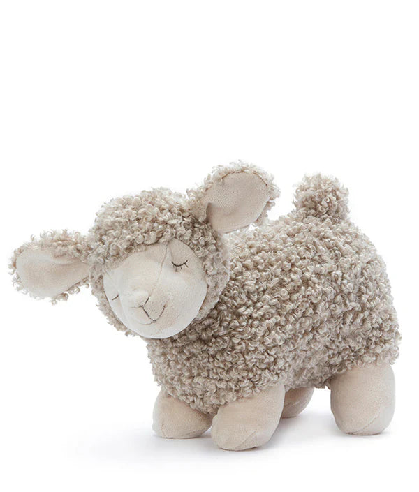 Charlotte the Sheep