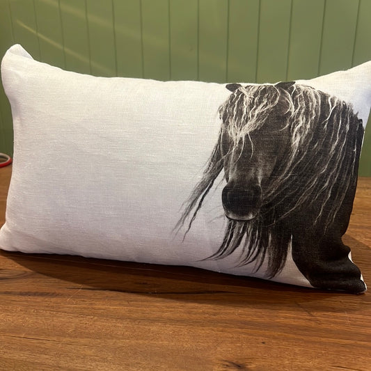 Horse Frames Cushion