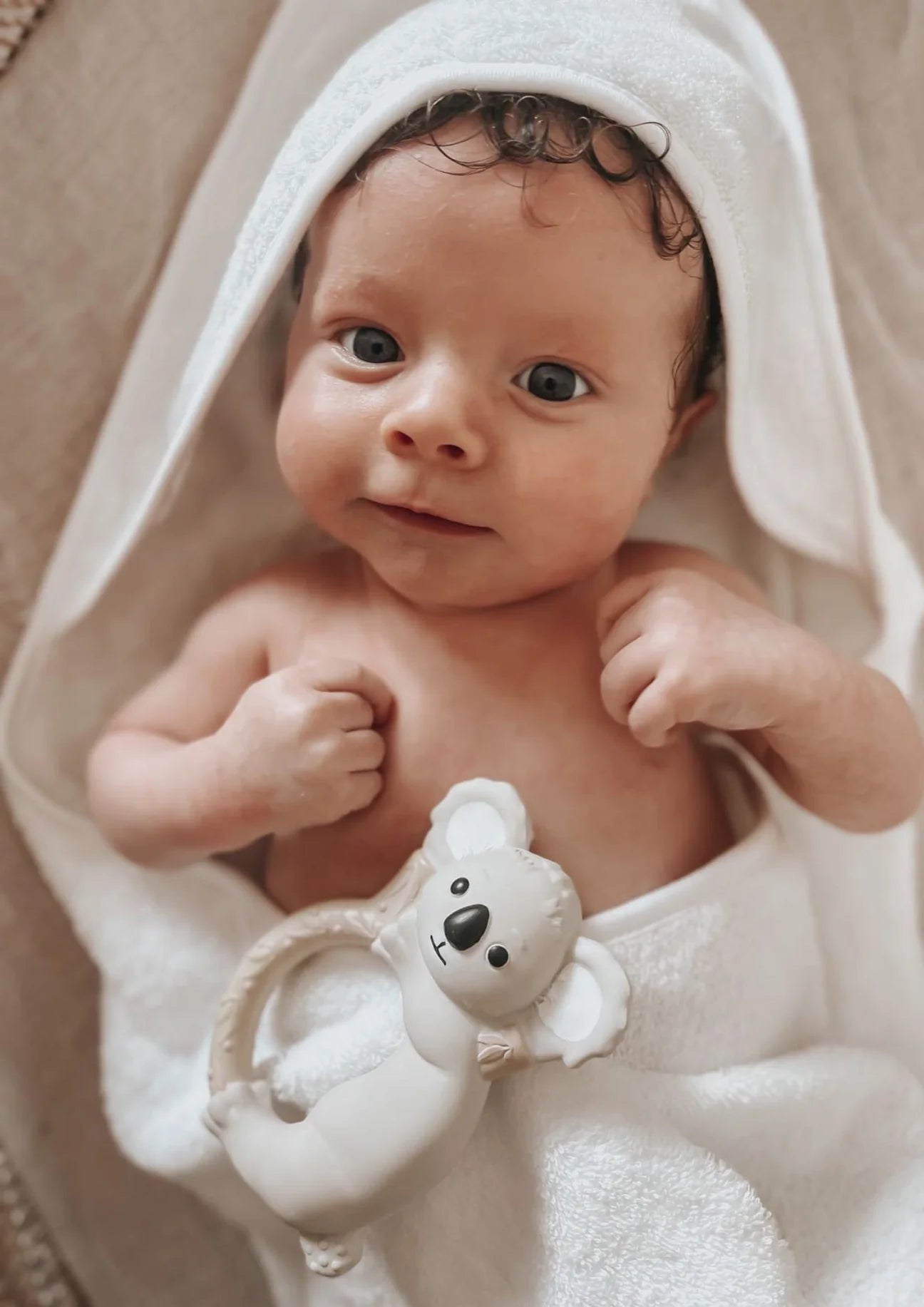 Banks The Koala Teether & Bath Toy