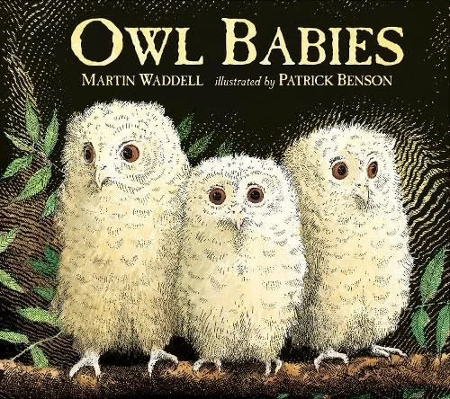 Owl Babies