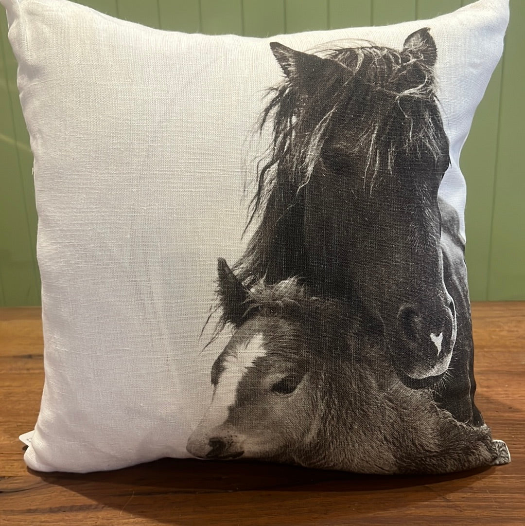 Horse Blessings Cushion