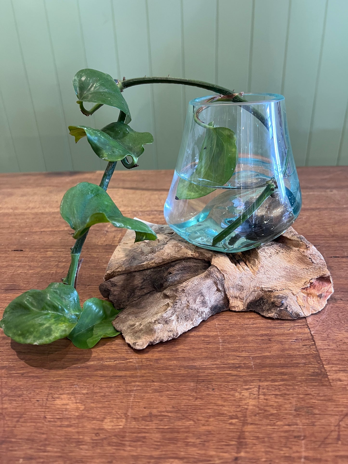 Glass pot on log