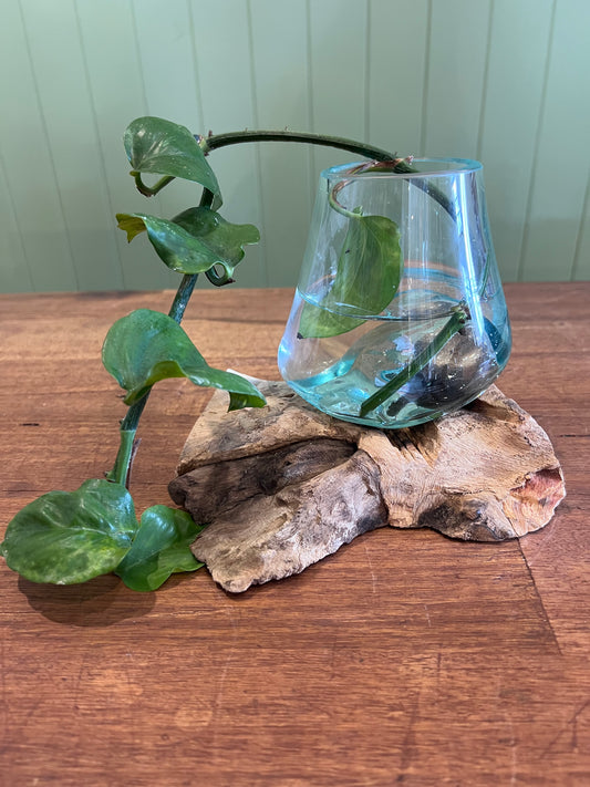 Glass pot on log