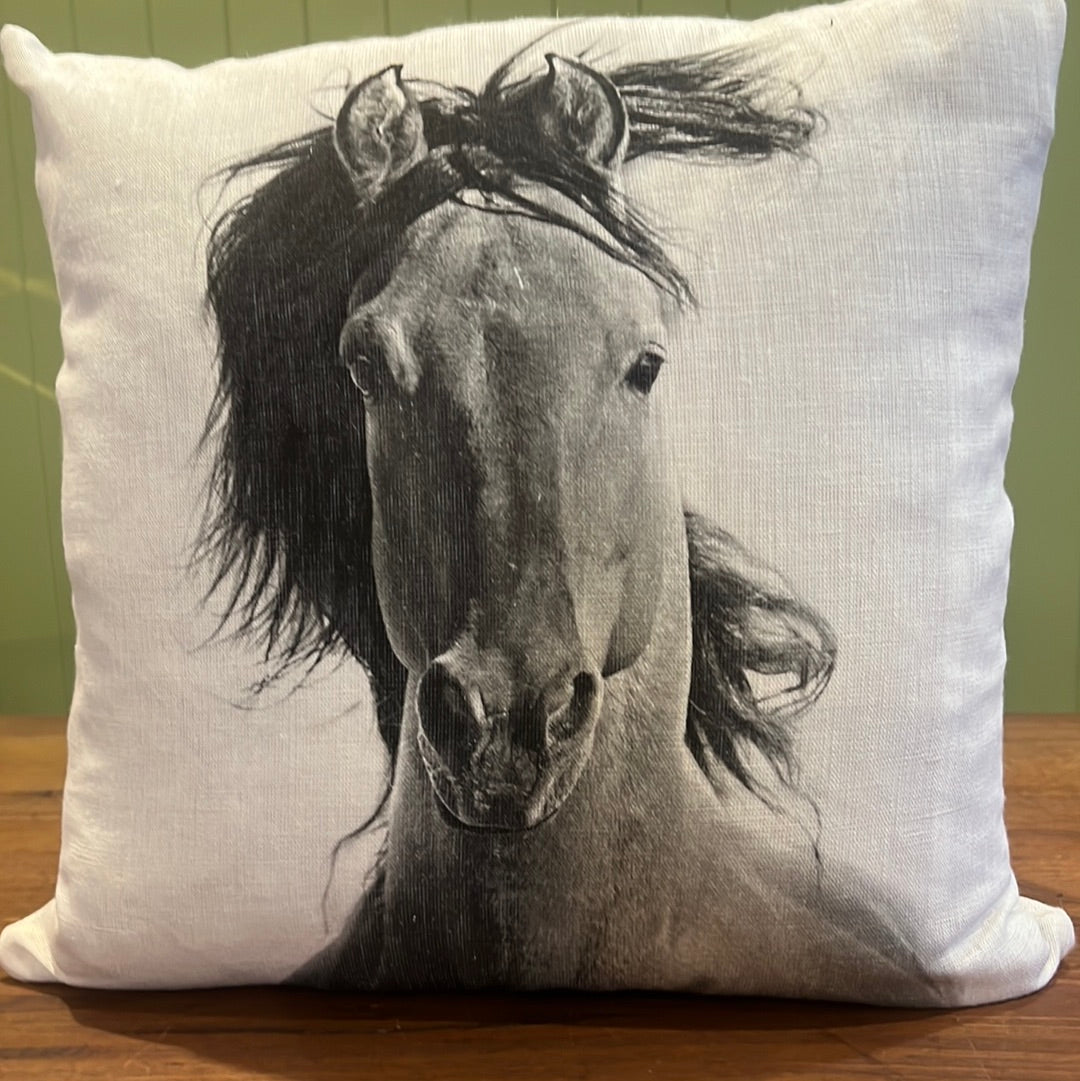 Horse Stare Cushion