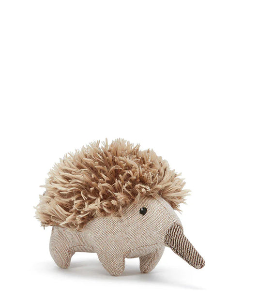 Mini Spike the Echidna