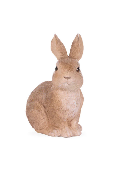 Hopping Cotton Tail Bunny Rabbit Easter