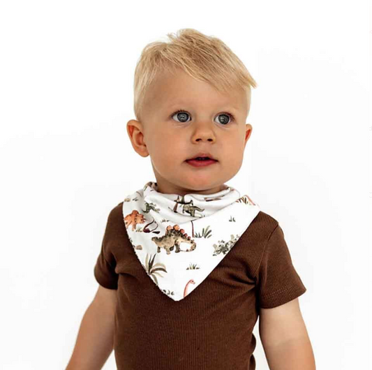 Snuggle Hunny Dino Organic Dribble Bib